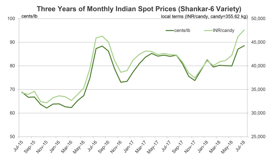 Cotton Market Fundamentals and Monthly Cotton Price Outlook
