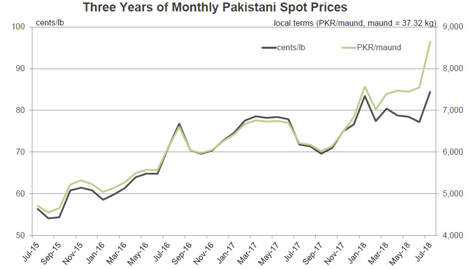 Cotton Market Fundamentals and Monthly Cotton Price Outlook