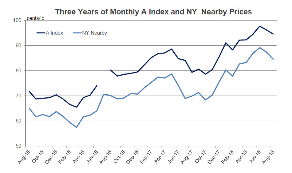 Cotton Market Fundamentals and Monthly Cotton Price Outlook