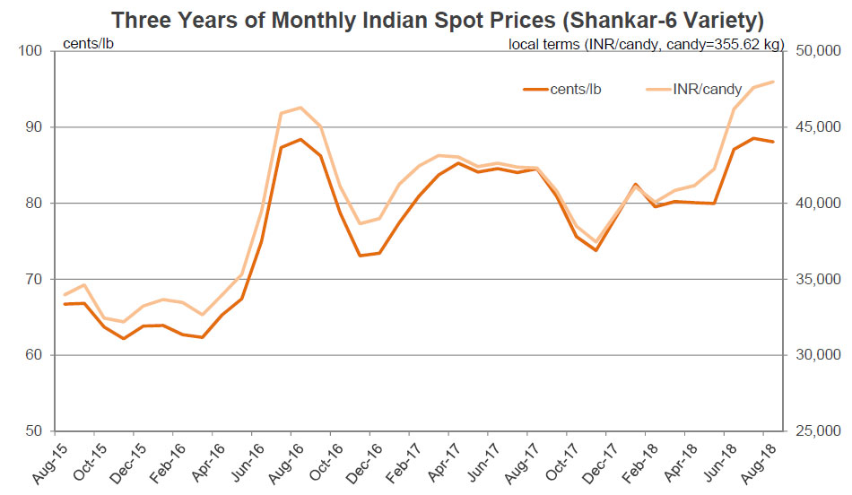 Cotton Market Fundamentals and Monthly Cotton Price Outlook