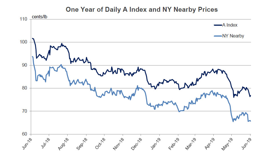 Cotton Market Fundamentals and Monthly Cotton Price Outlook
