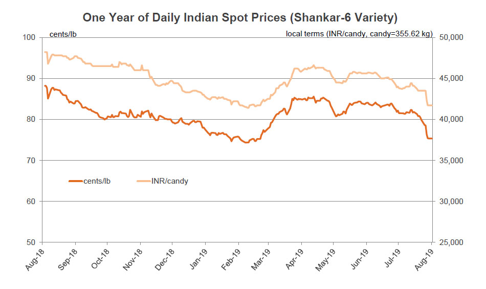 Cotton Market Fundamentals and Monthly Cotton Price Outlook